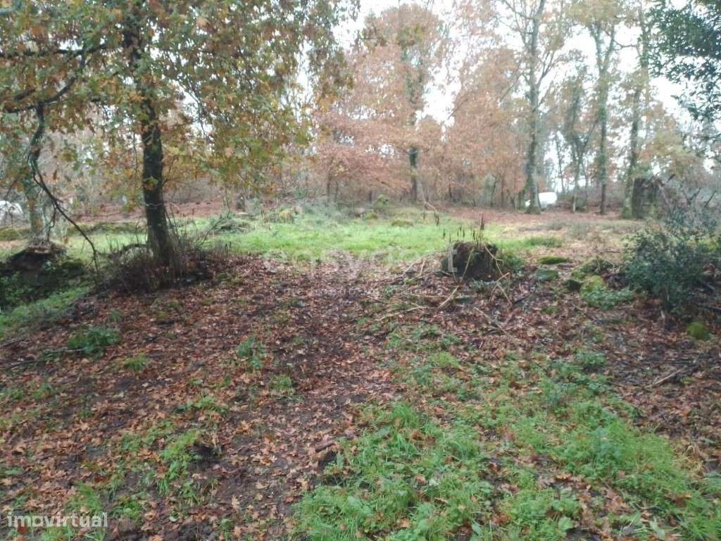 Terreno com viabilidade de construção em Canas de Santa Maria, Tondela - Grande imagem: 4/18