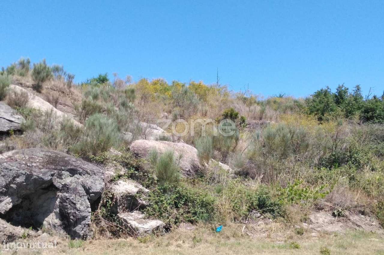 Terreno 6.000m2 em Lagares - Coimbra - Grande imagem: 5/15