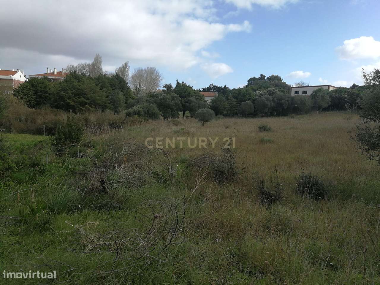 Terreno Rústico – Lourel, Sintra - Grande imagem: 3/16