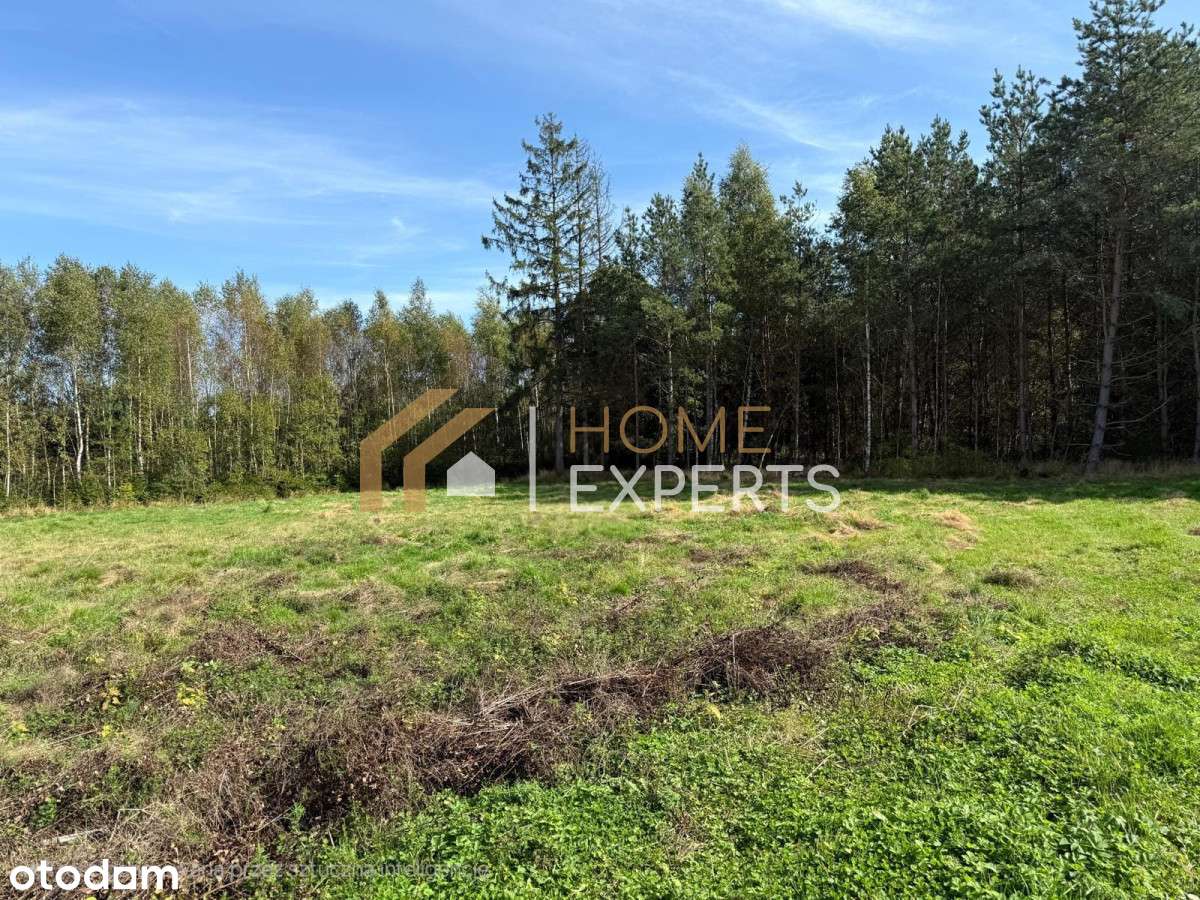 Działka budowlana blisko lasu – Kowalewo