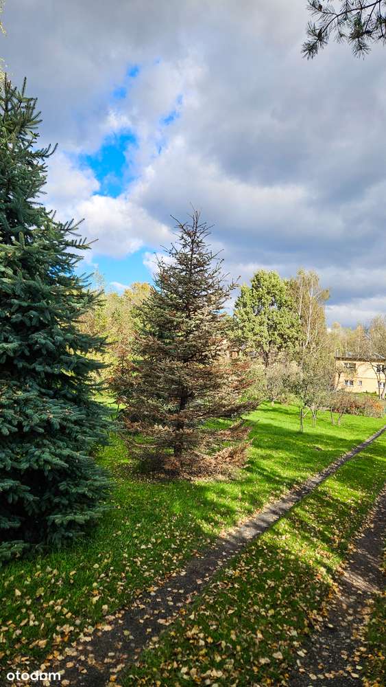 DZIAŁKA BUDOWLANA | ok.1045 m² | UL. CERAMICZNA 39 | MEDIA W DRODZE - Pełny obrazek: 4/4