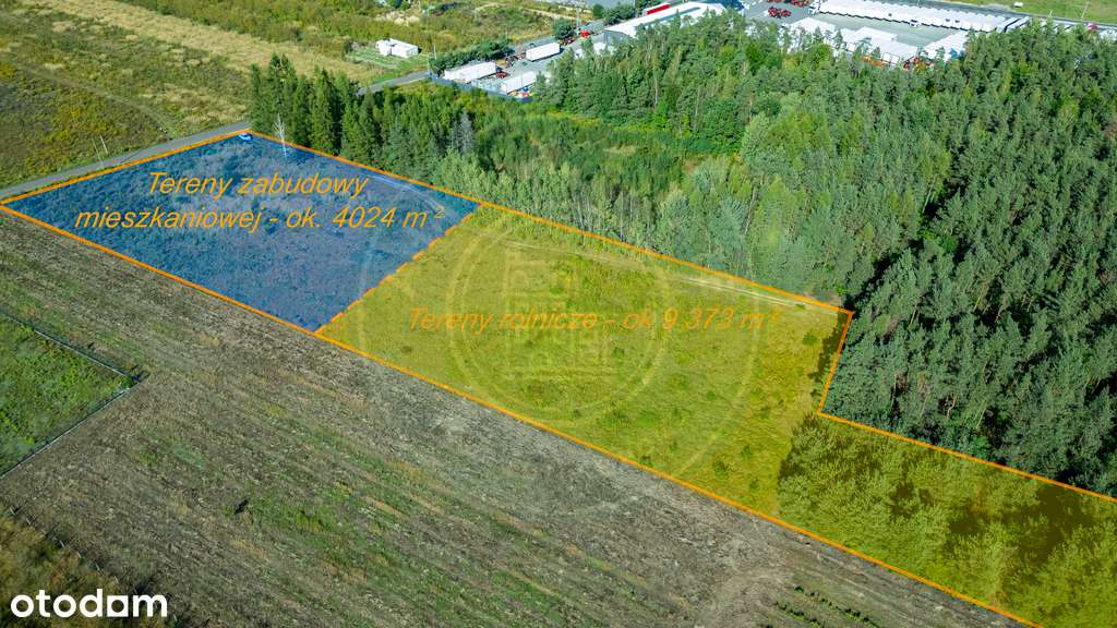 14/15968/OGS - Pełny obrazek: 5/13