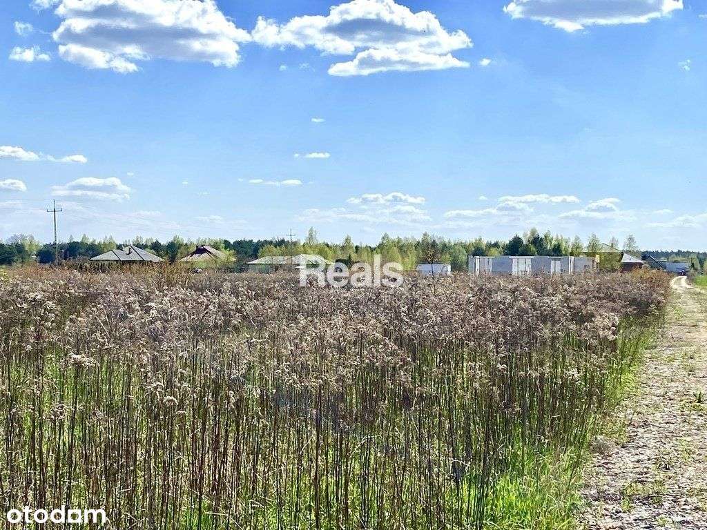 Działka budowlana 1290 m2 Czosnów. - Pełny obrazek: 4/5