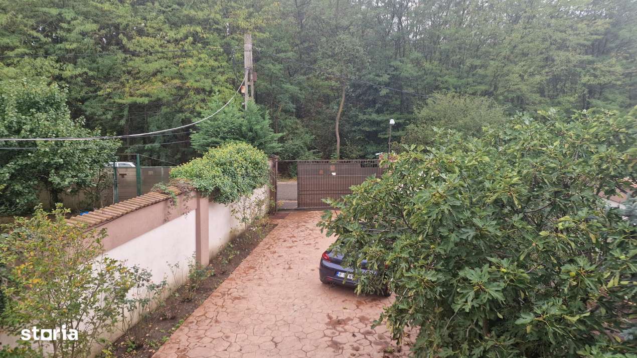 Inchiriere 30 LEI/PAT/ZI -Motel Snagov - Imagine principală: 5/17