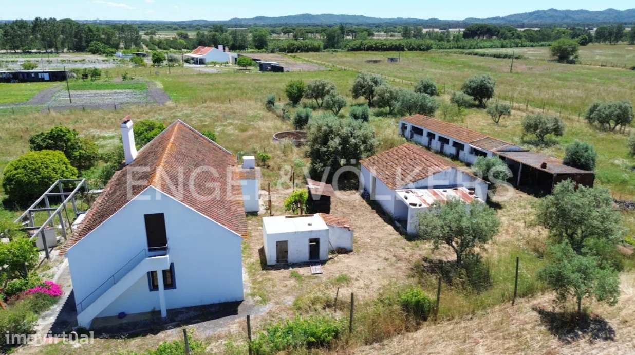 Quinta para Renovar em Grândola - Grande imagem: 4/11