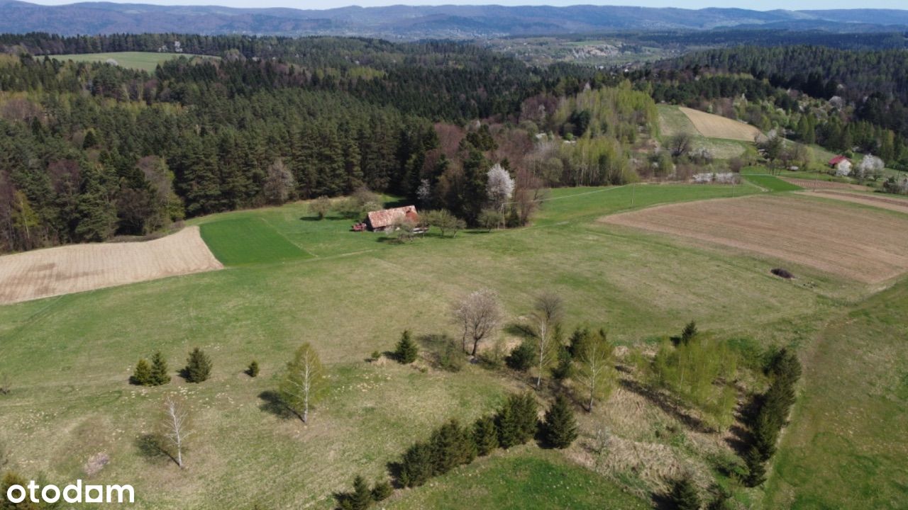 Niezwykłe, malownicze siedlisko 3,73ha Zagórz