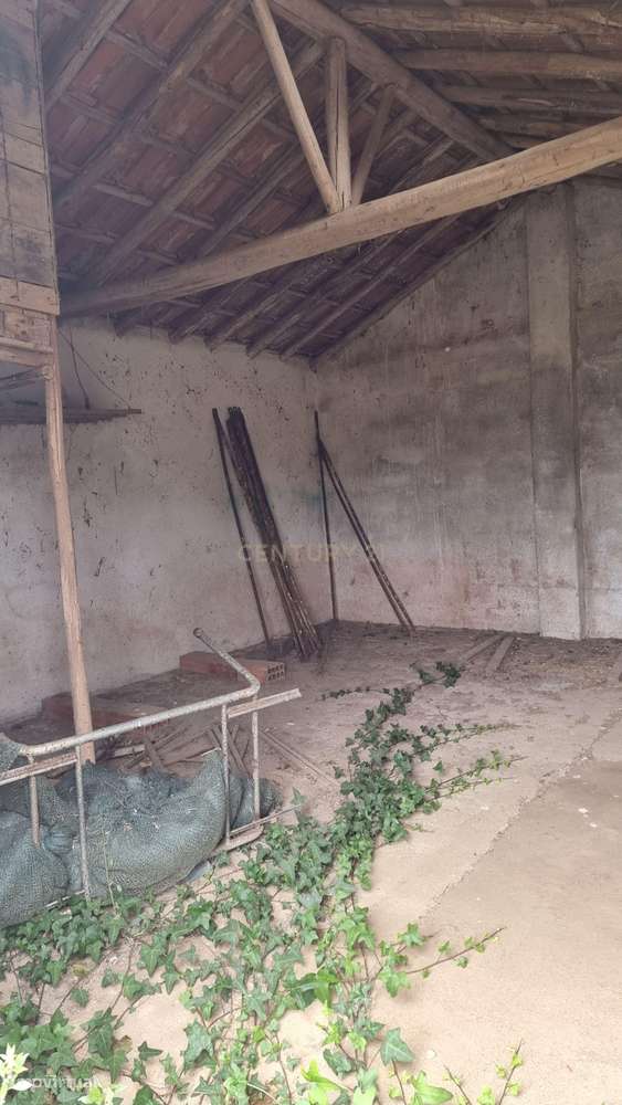 Terreno Agrícola em Freiria, Torres Vedras - 39.900€ - Grande imagem: 3/4