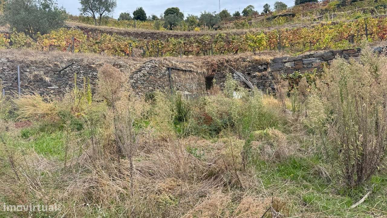 Quinta do Prado em Moura Morta, Régua-25