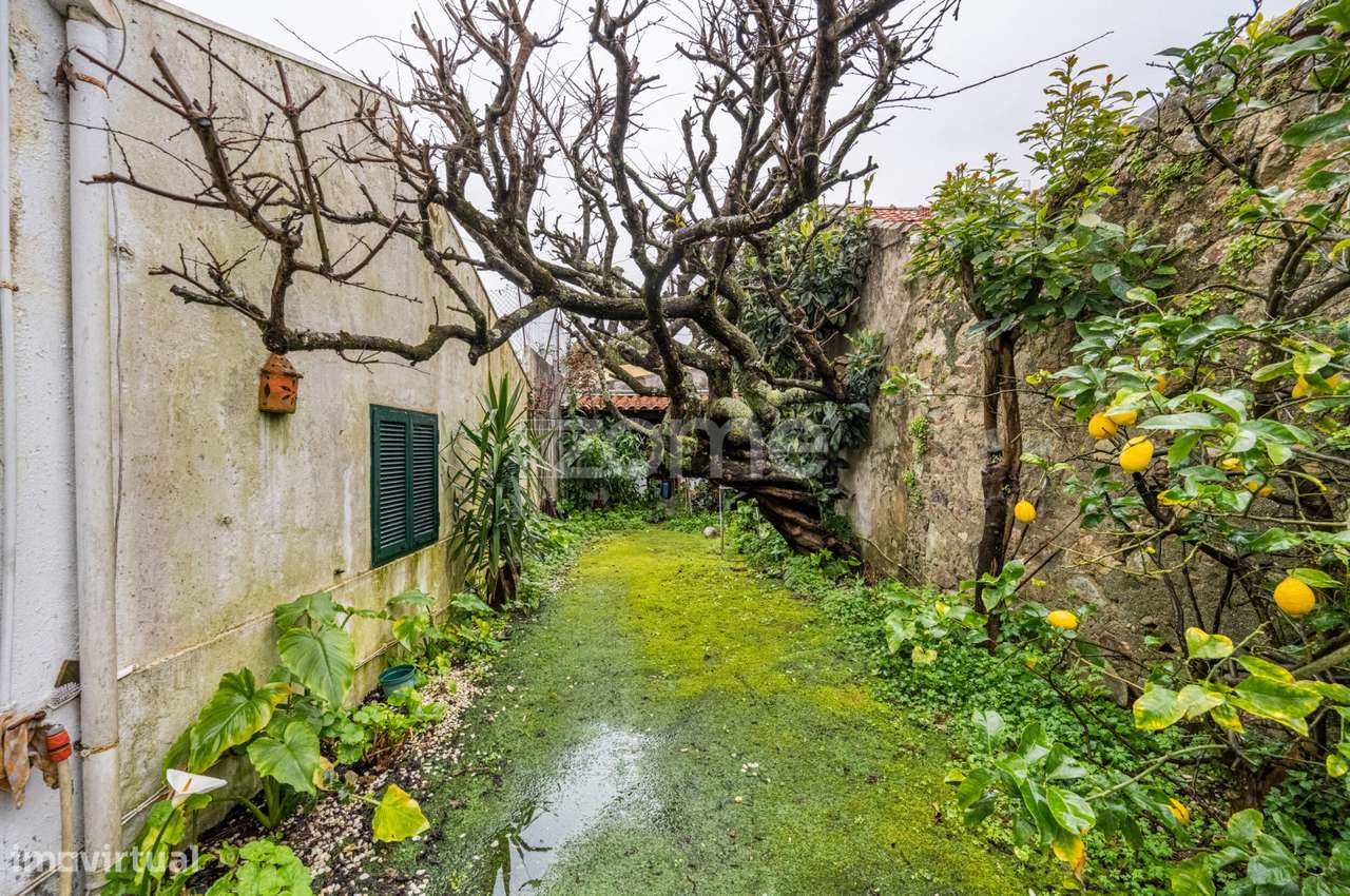 Moradia T3+1 c/ terraço, jardim, garagem e/ou + outro T1Foz Velha-17
