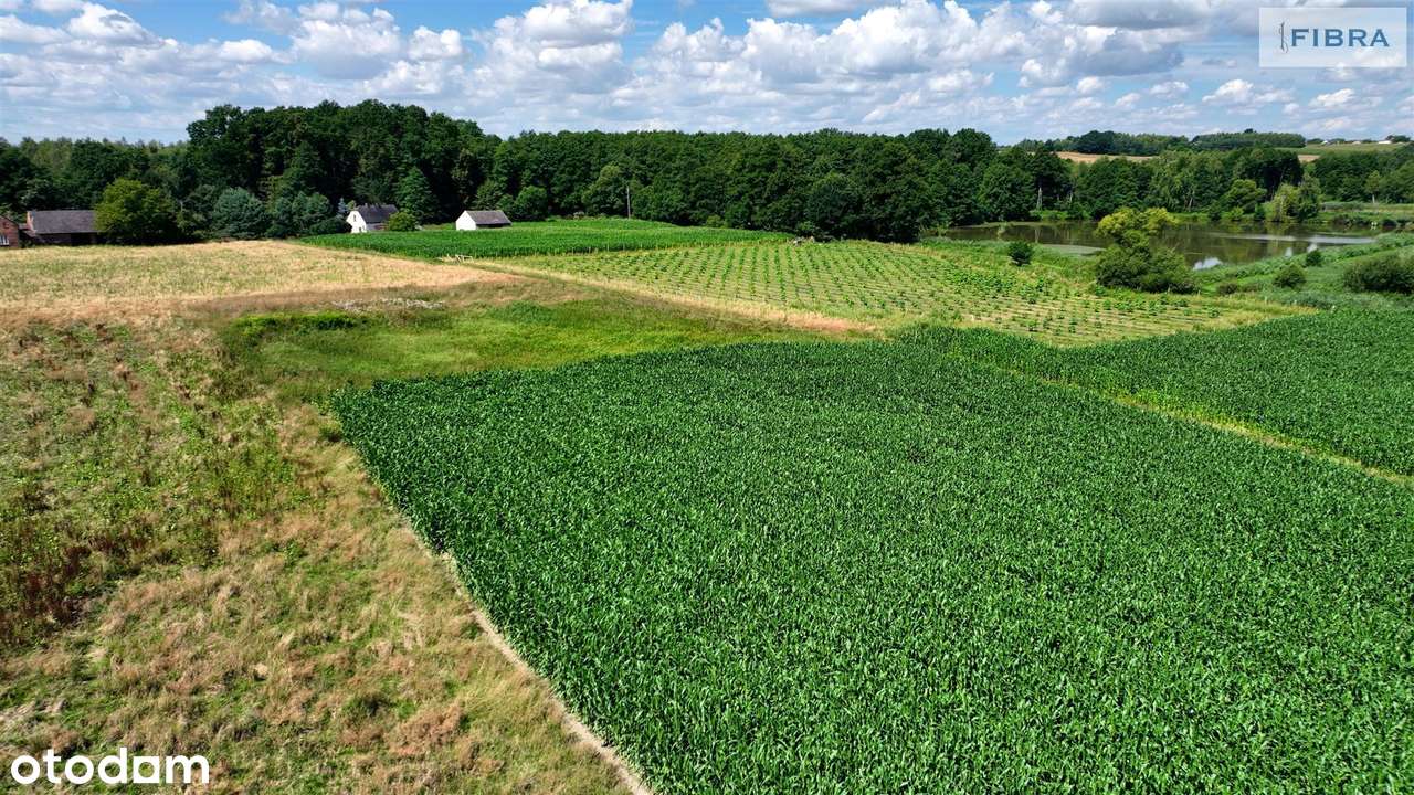 Bogactwo działki rolnej w Lyskach - Pełny obrazek: 5/20