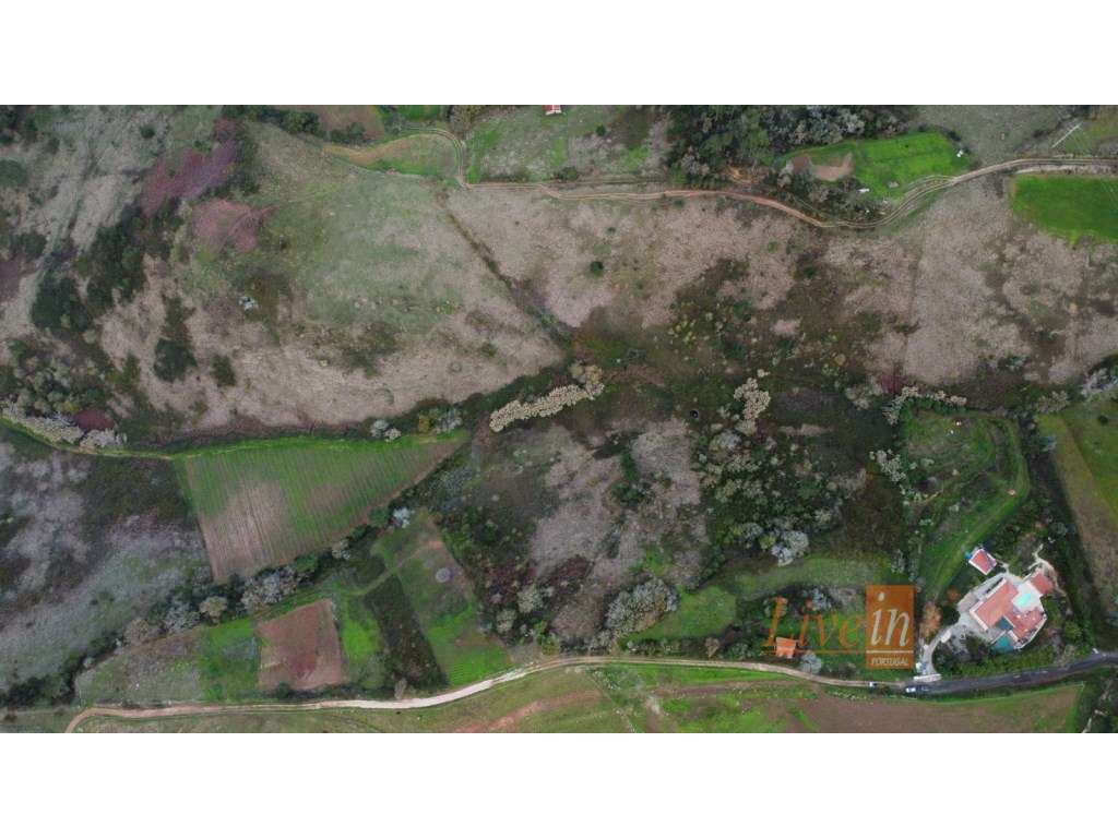 Oportunidade Única em Mafra - 9 Hectares de Terreno com Ruinas Regi... - Grande imagem: 2/3