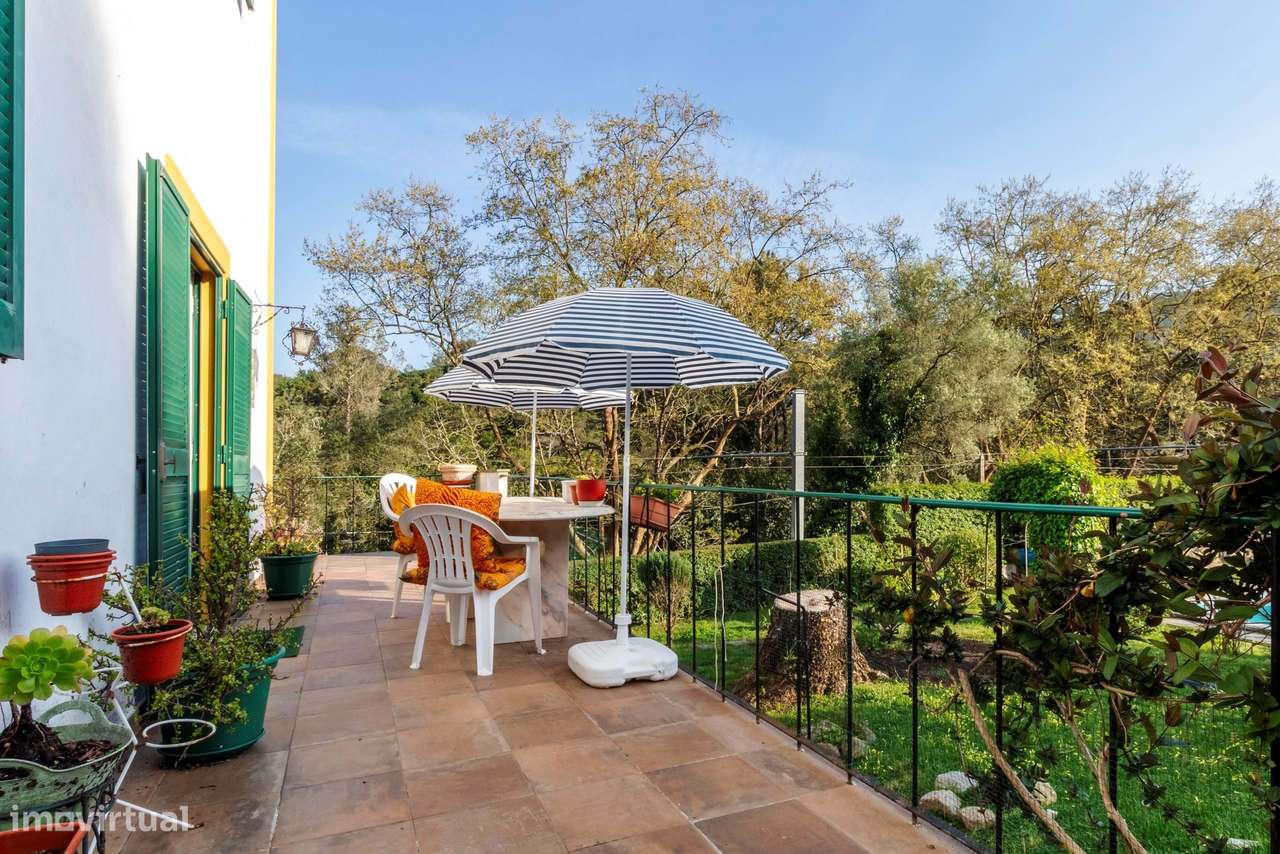 Moradia T6 c/ Terreno de 1600m2 c/ Piscina, Garagem e Anexos em Colare-38