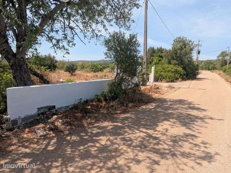 Terreno rústico com electricidade - Grande imagem: 2/6