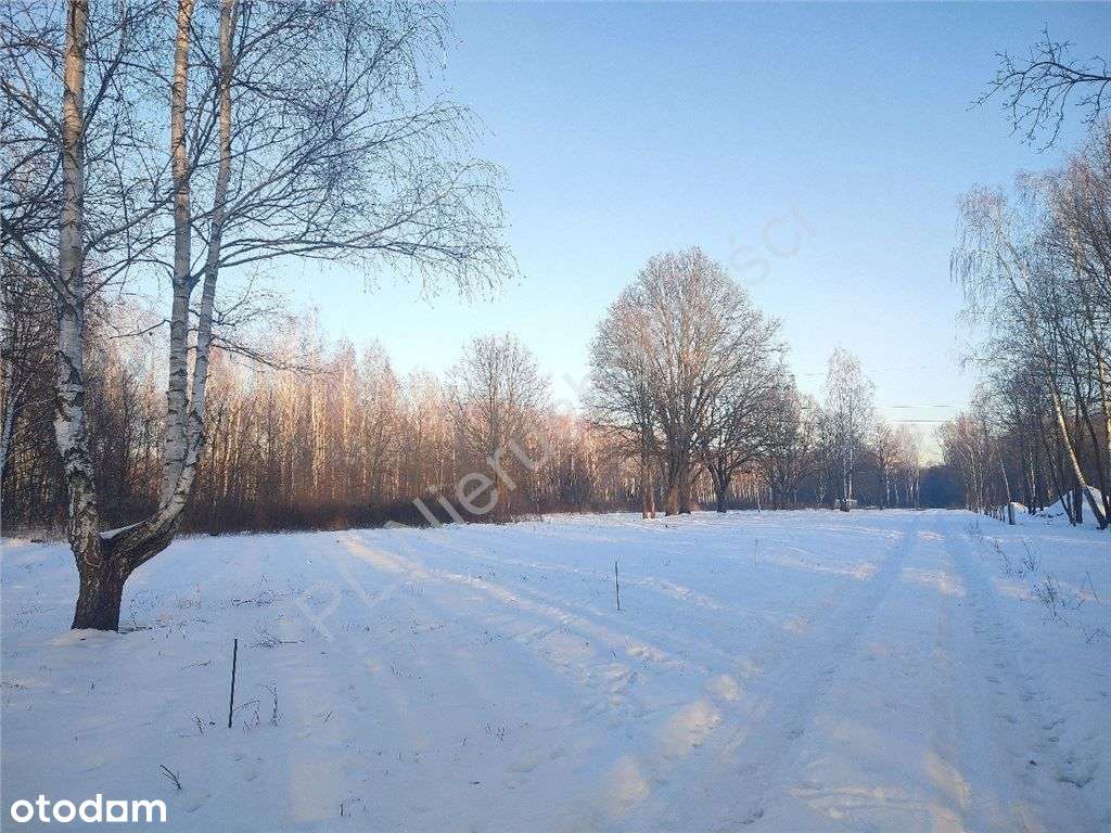 Duże działki na osiedlu przy lesie z Wz-1