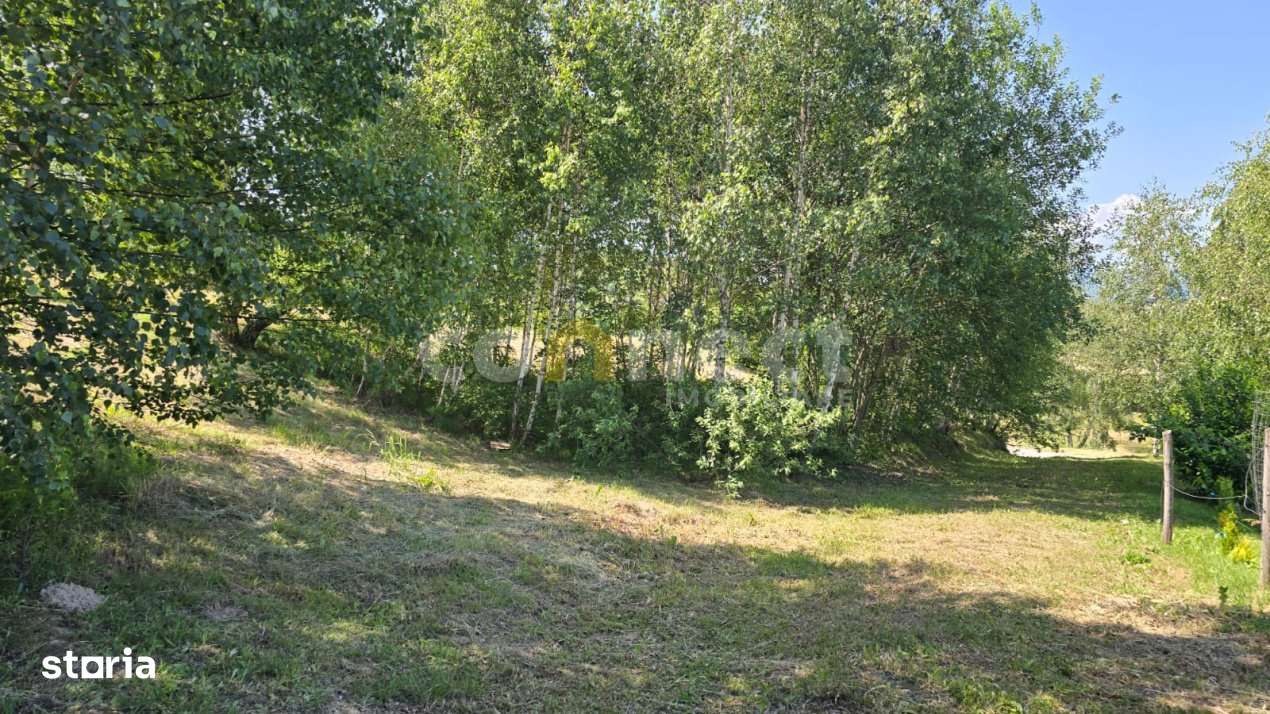 De vanzare teren superb in Ciurila – 500 mp de liniste, verdeata si - Imagine principală: 4/8