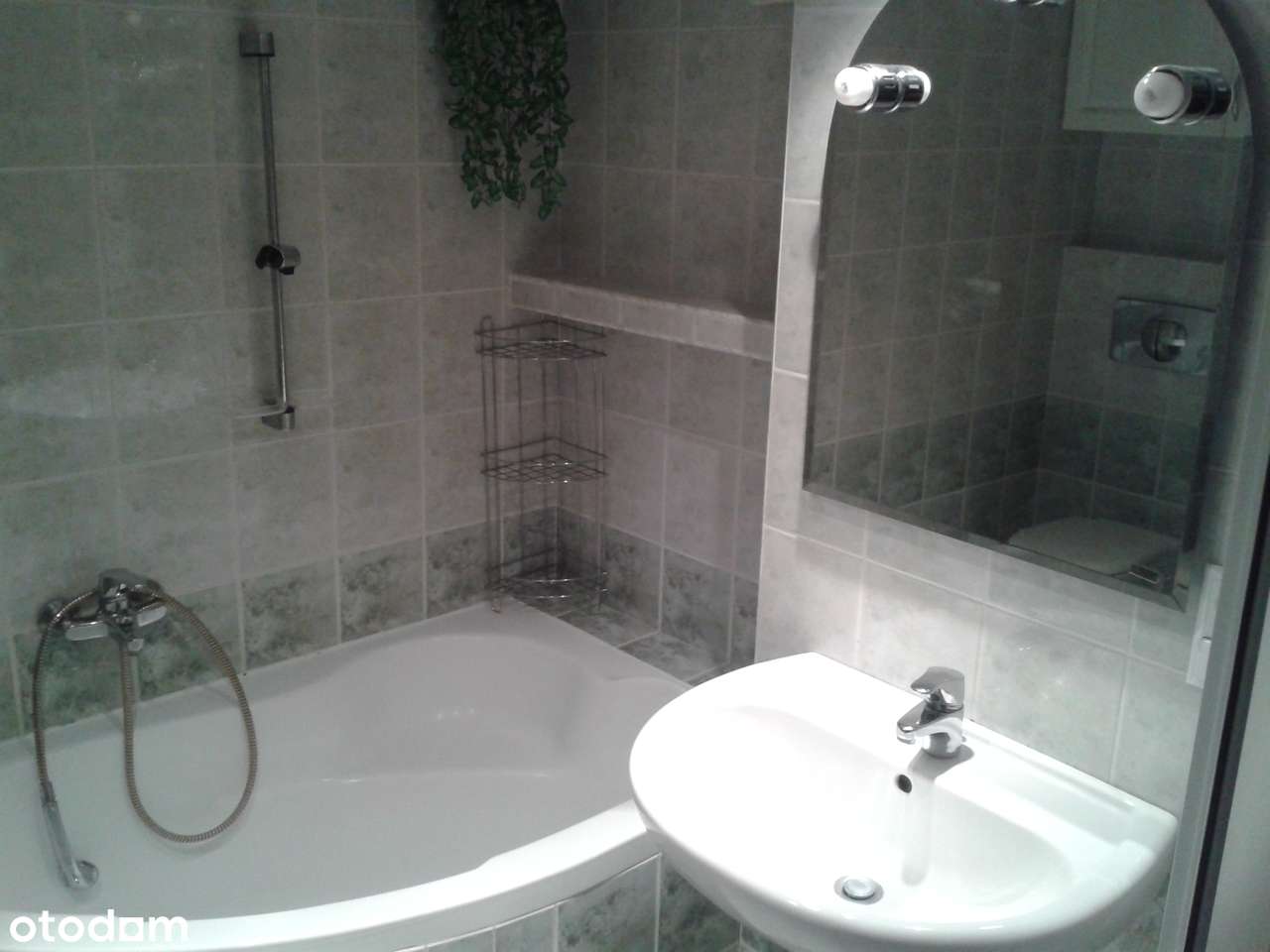 DO WYNAJĘCIA - Dom dla pracowników - 16 miejsc - Oława ul. Tuwima. - Pełny obrazek: 2/11