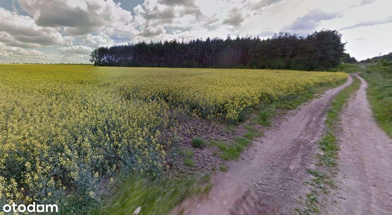 Działka 33023 m² w spokojnej okolicy blisko lasu - Pełny obrazek: 3/3