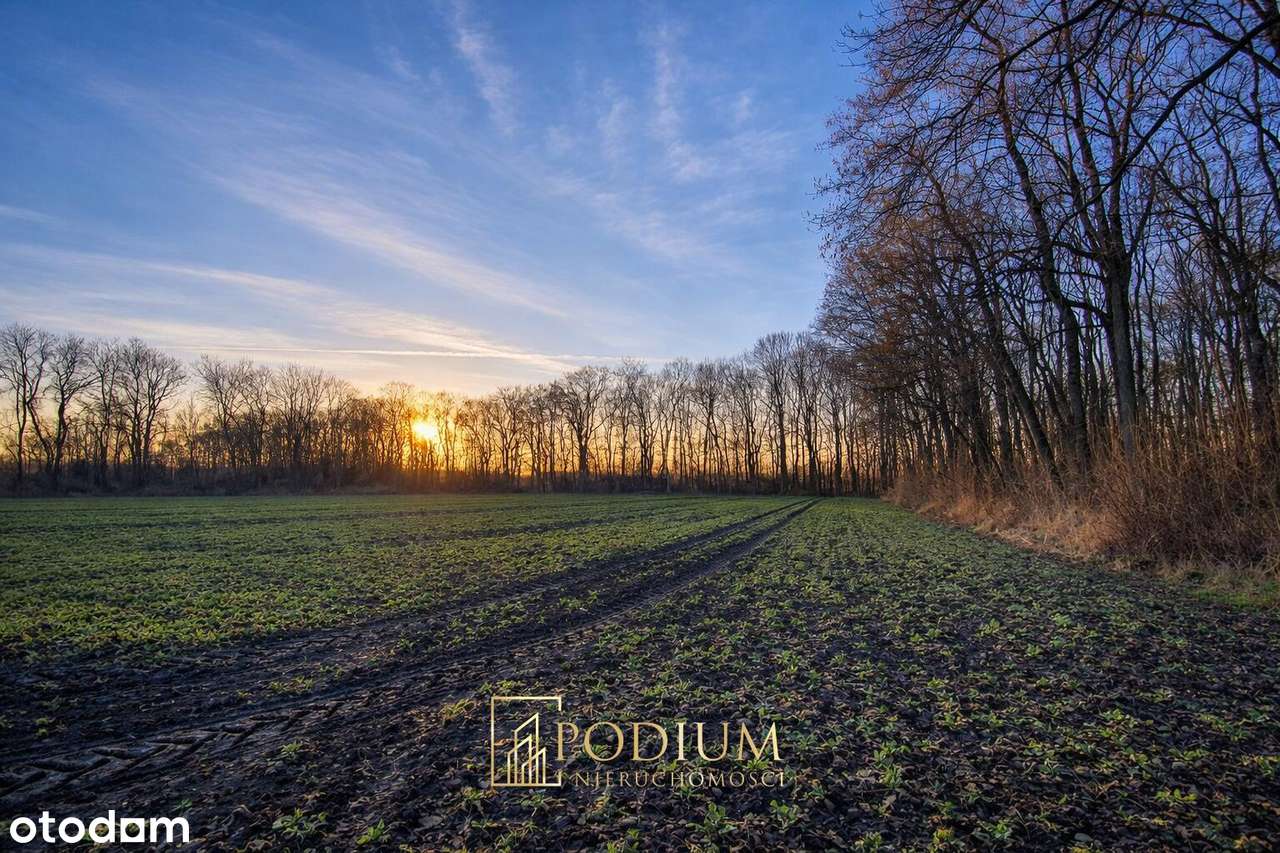 Działka z potencjałem inwestycyjnym pomiędzy LG i Nestle Purina-0