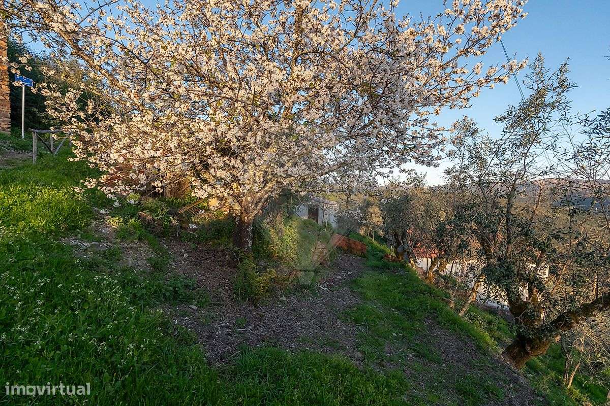 Moradia T2 para venda - Grande imagem: 3/44