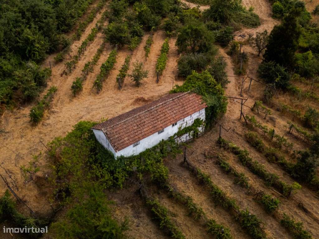 Quinta histórica em Penafiel-8