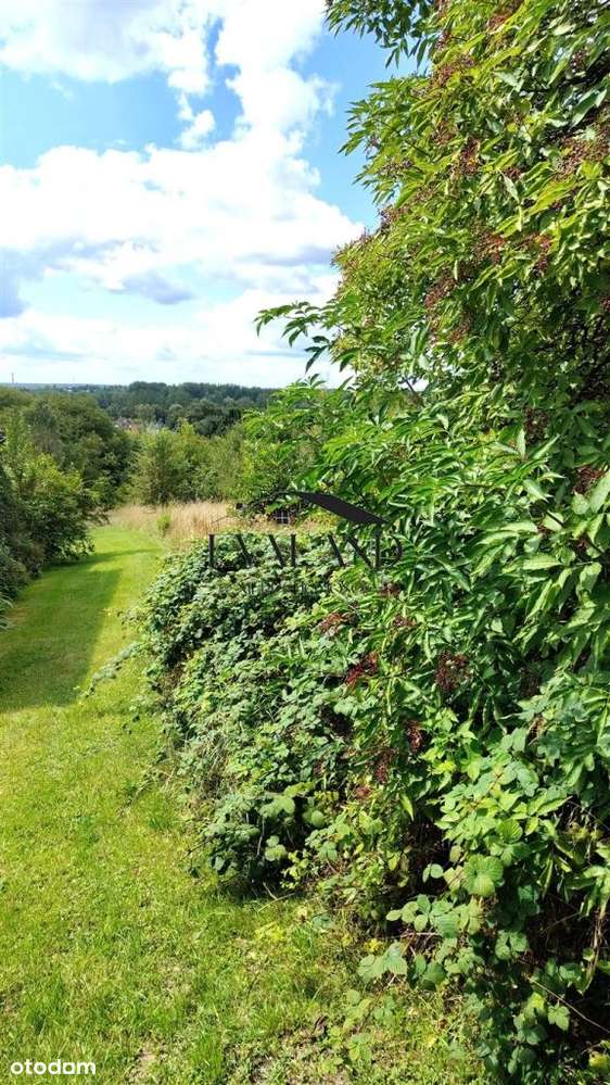 Działka pod Jasną Górą-2