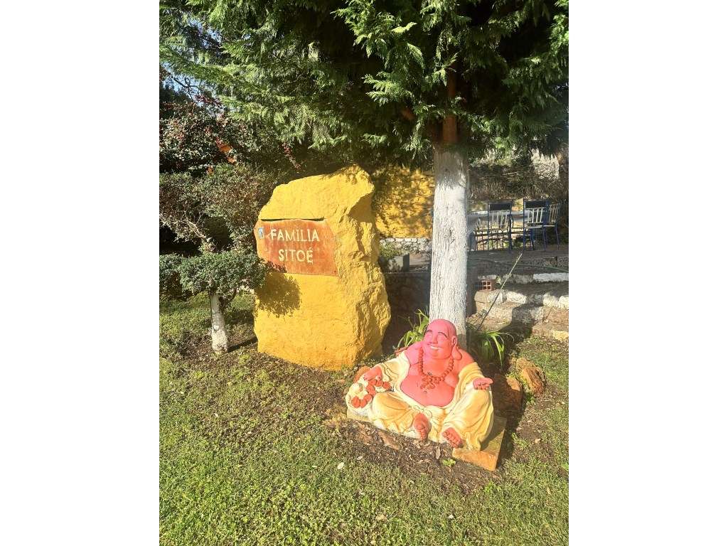 Quinta - Quintinha - Moradia-17
