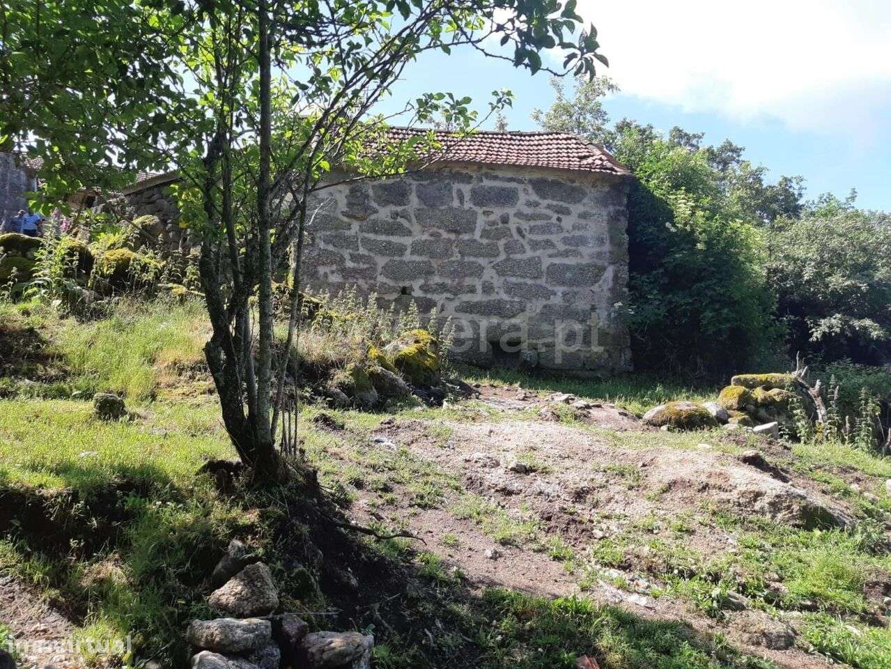 Terreno / Baião, Campelo e Ovil - Grande imagem: 2/2