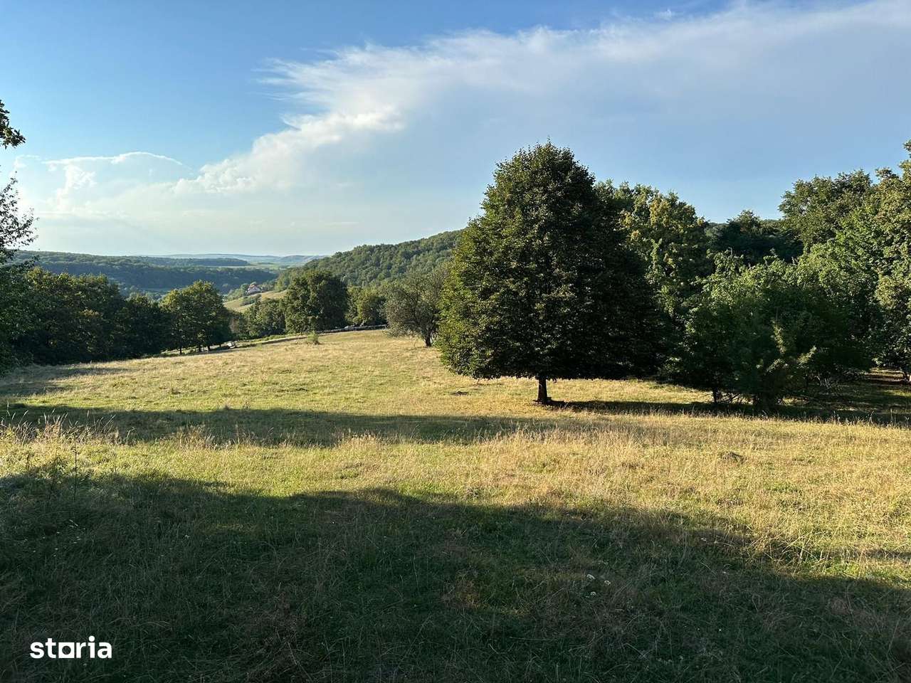 Teren 18.000 mp, priveliste frumoasa - Sura Mare - Imagine principală: 4/5