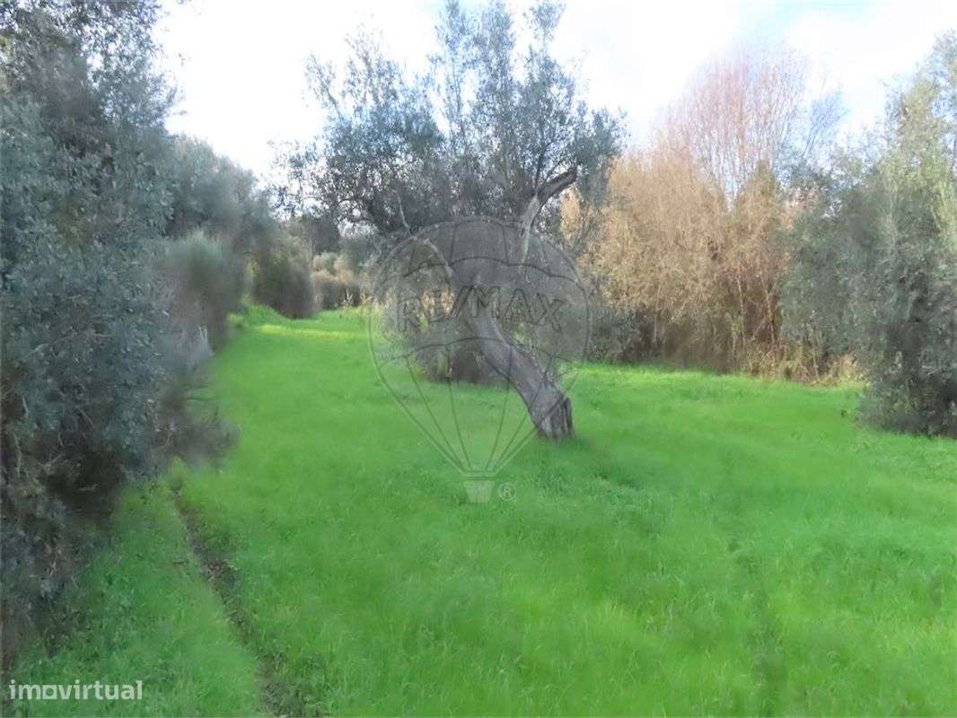 Quinta  para venda - Grande imagem: 3/43