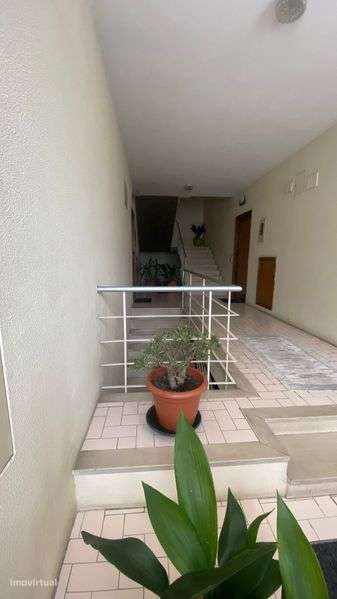 T3 Guimarães a 1,4km da Universidade - Grande imagem: 5/12