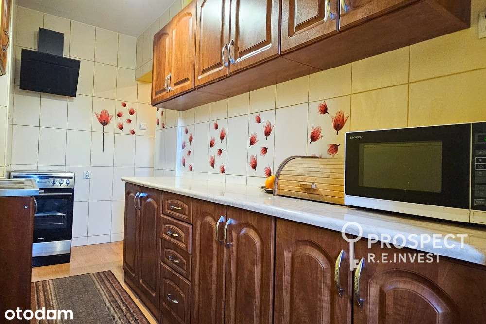 Mieszkanie, 2 pokoje, Zabrze + Ogródek i garaż!-9