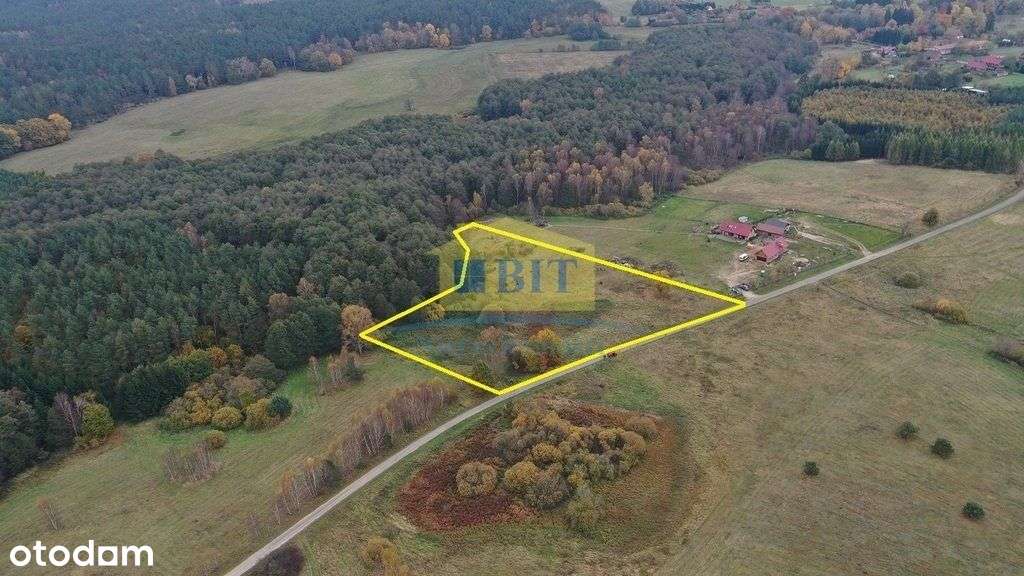 Kompleks trzech działek w Gronowie - Pełny obrazek: 5/8