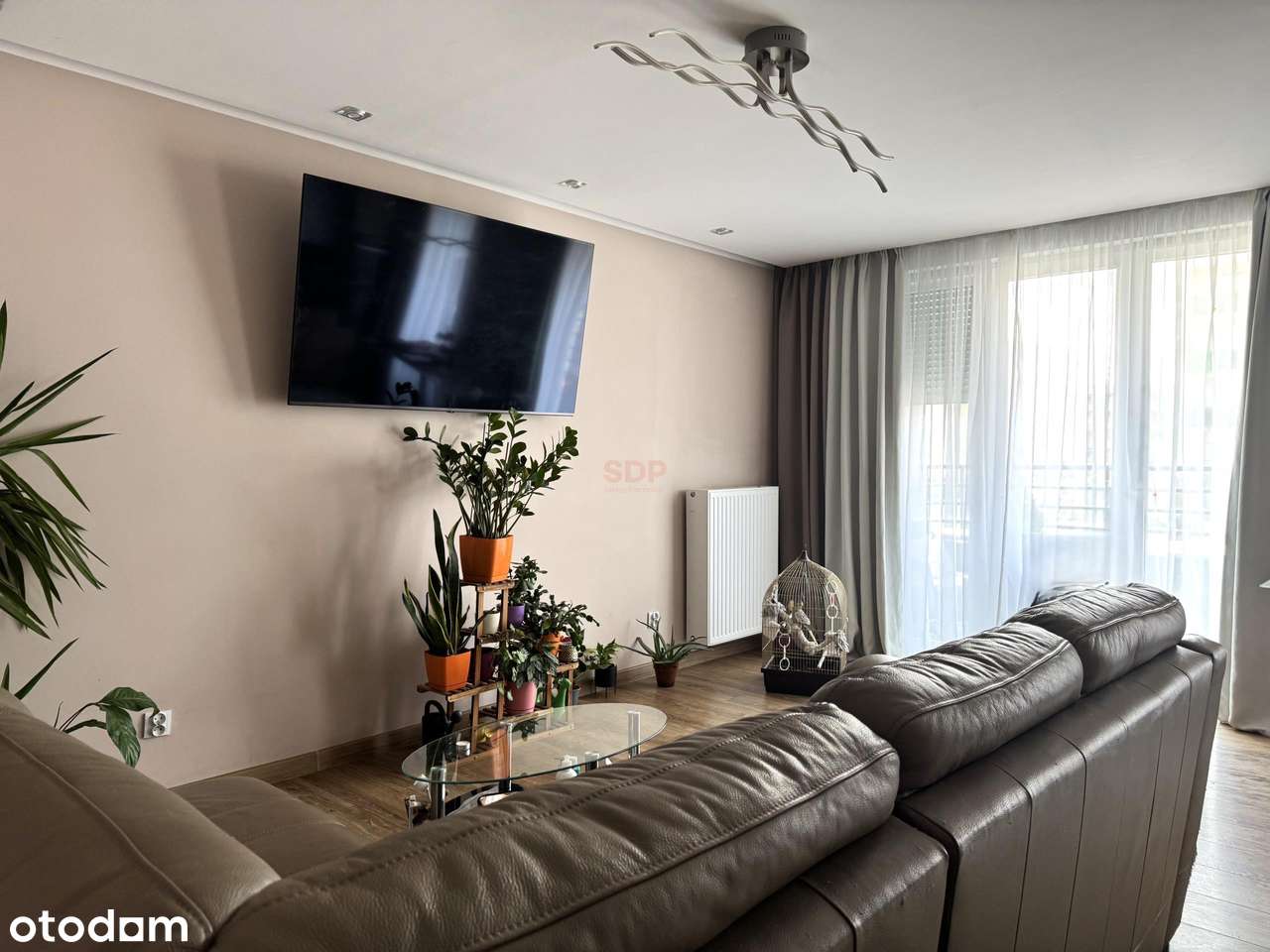 3 pokoje/parter/taras - Pełny obrazek: 3/9