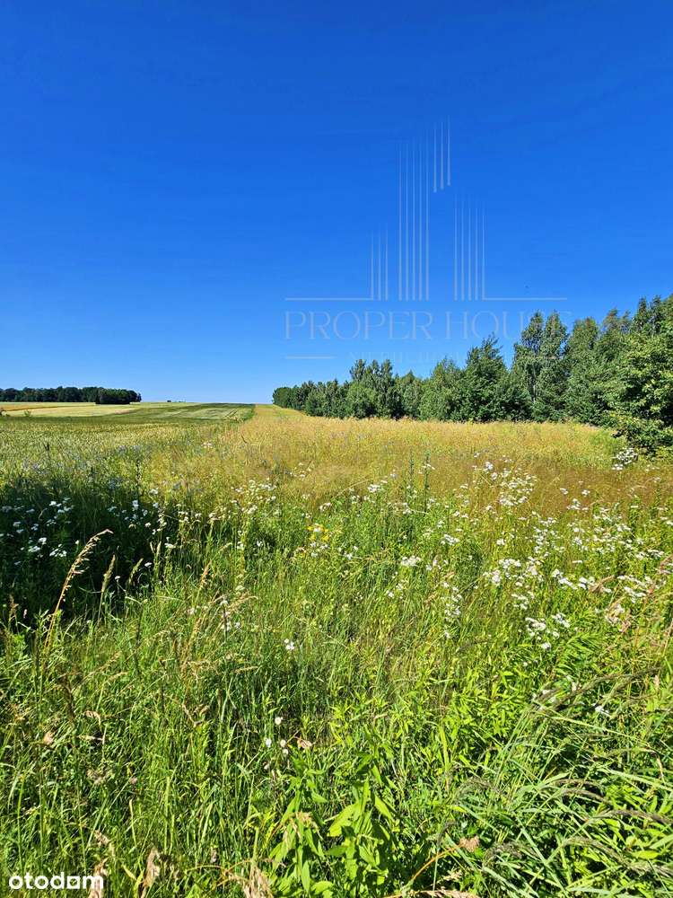 Inwestycja z Projektem GRATIS! Działka 20ar gotowa do zabudowy! - Pełny obrazek: 1/6