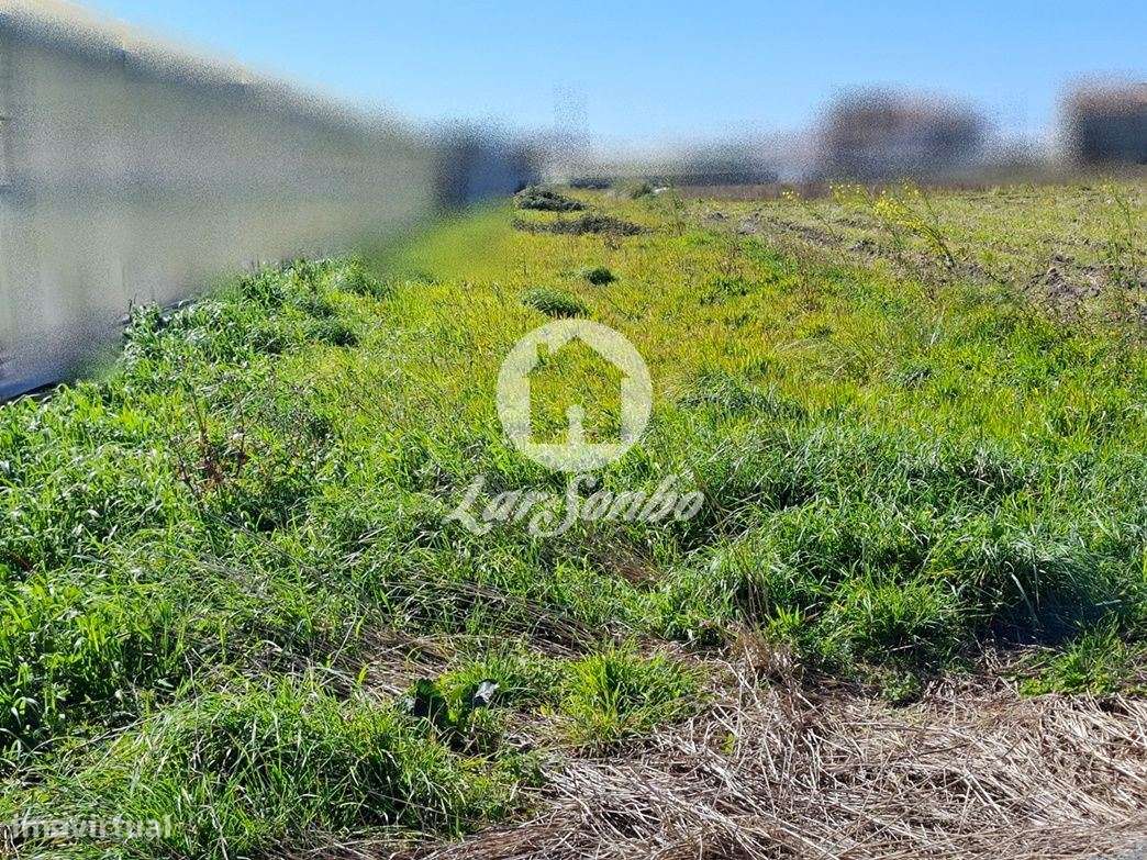 Terreno com 950m² em Aguçadoura - Grande imagem: 2/13