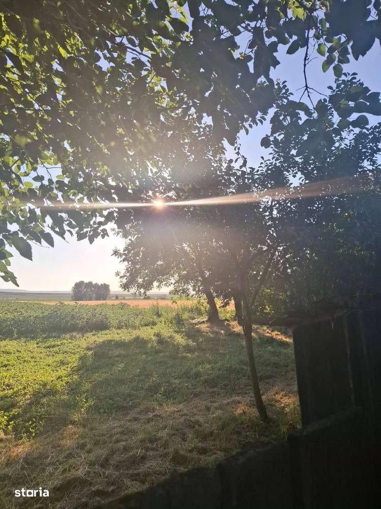 De vanzare casa 15 min de Roman, 37.000 euro - Imagine principală: 5/11