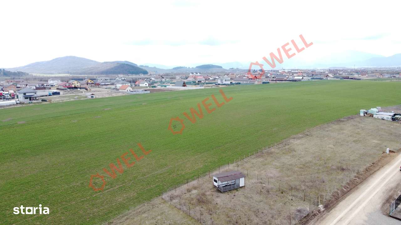 Teren intravilan de vânzare între Bod și Sânpetru! - Imagine principală: 4/7