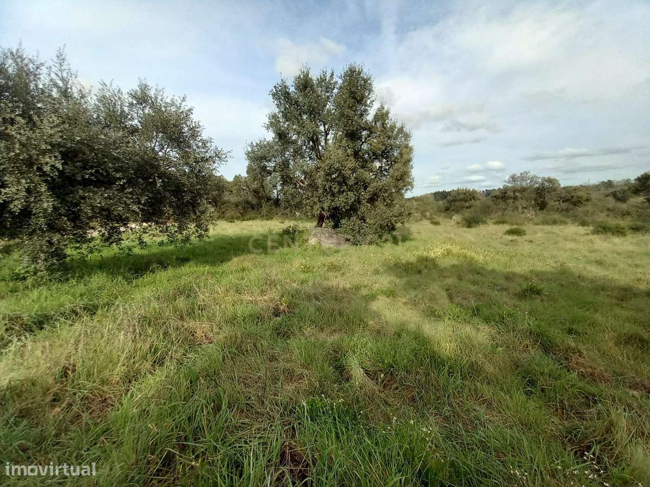 Terreno em Aldeia de Santa Margarida, Idanha a Nova - Grande imagem: 4/4