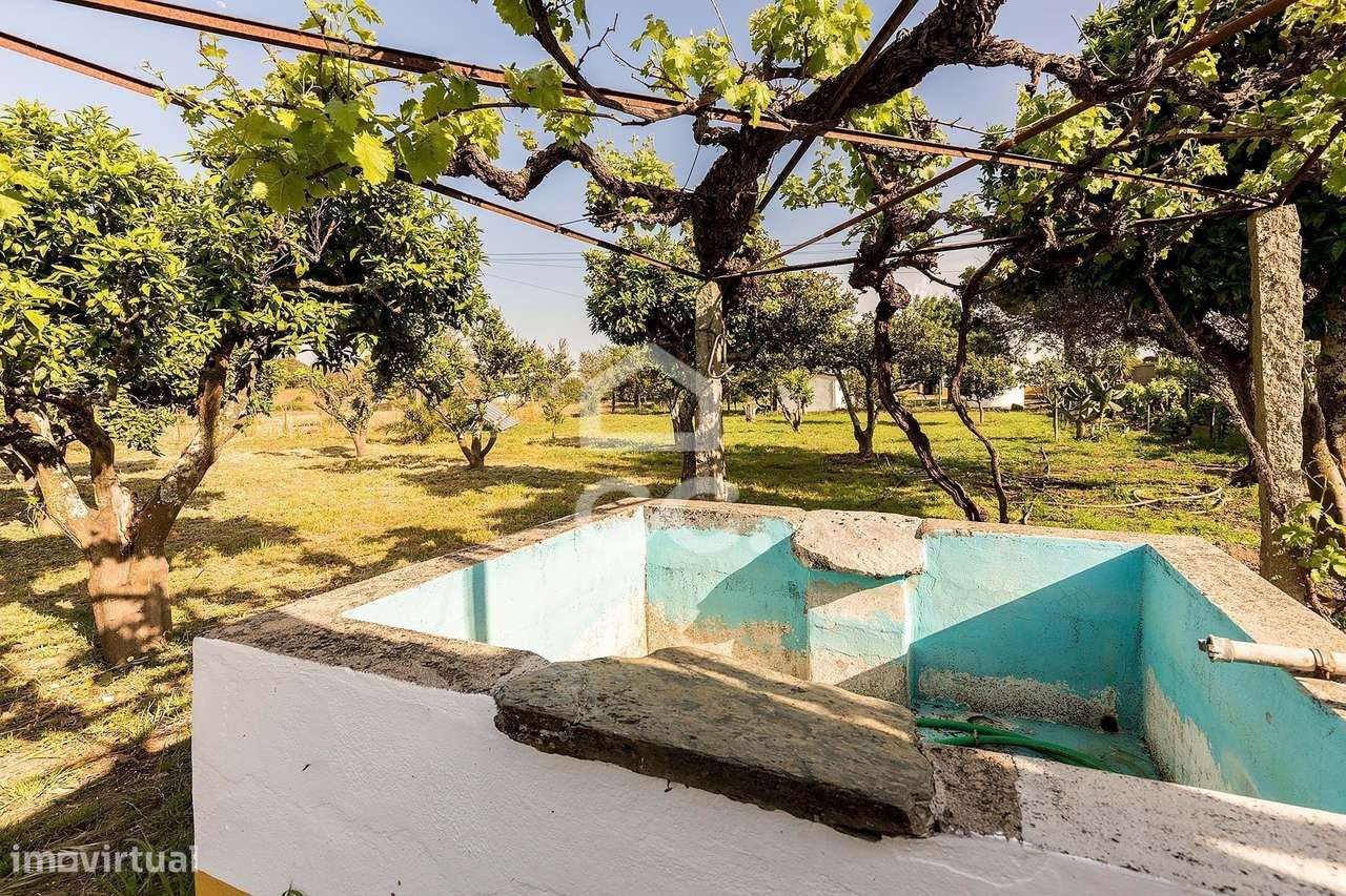 Quinta de 9250m2 c/ Moradia T4 térrea, anexo e armazém | Azaruja-24