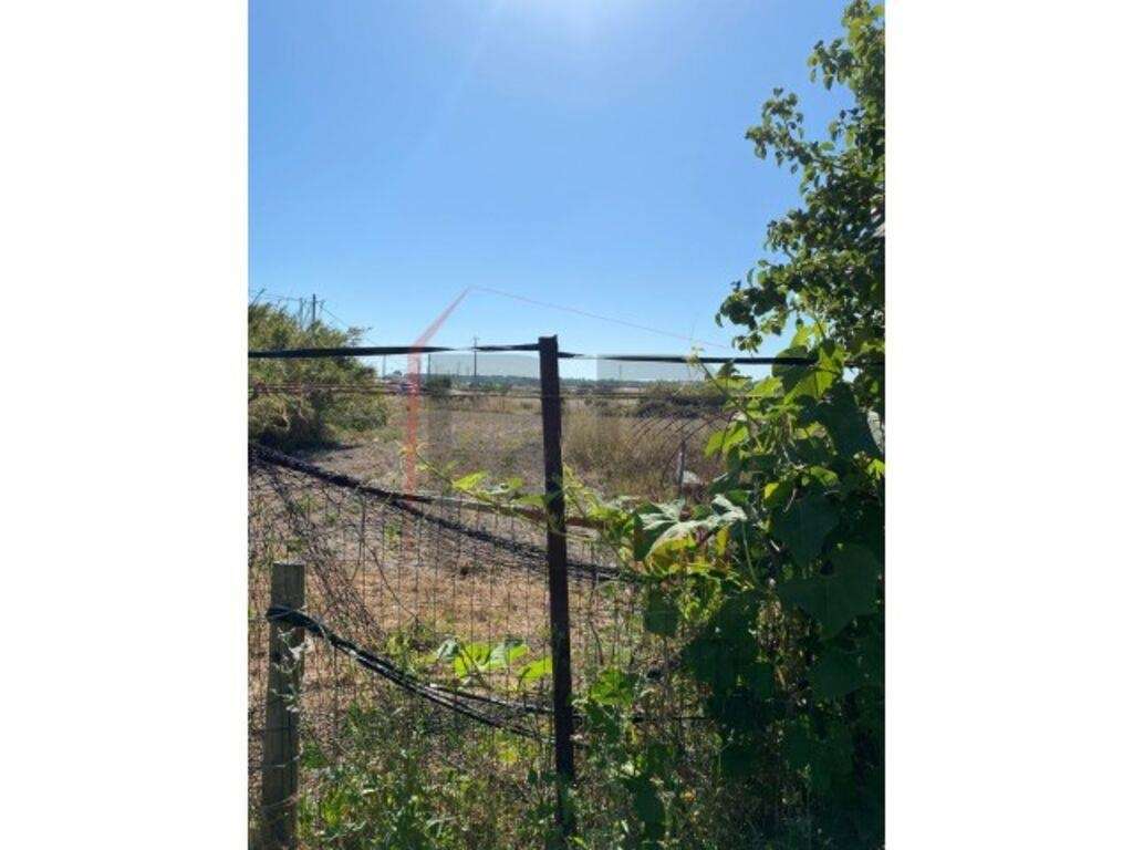 Terreno Agrícola em Pegões - Grande imagem: 5/10