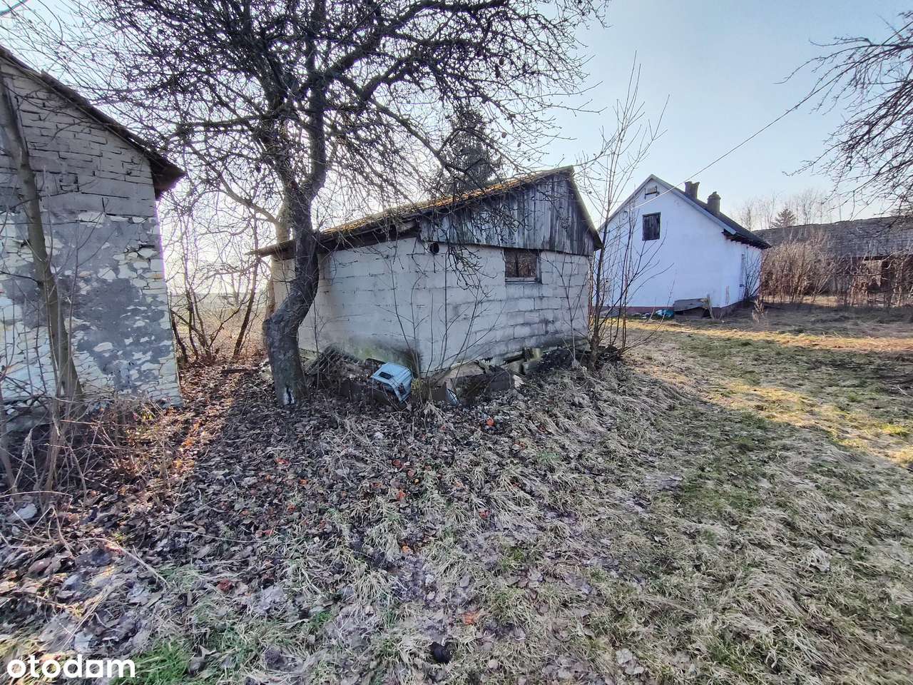 Dom , garaż , stodoła , budynek gospodarczy działka 4200m2 kanalizacja-4