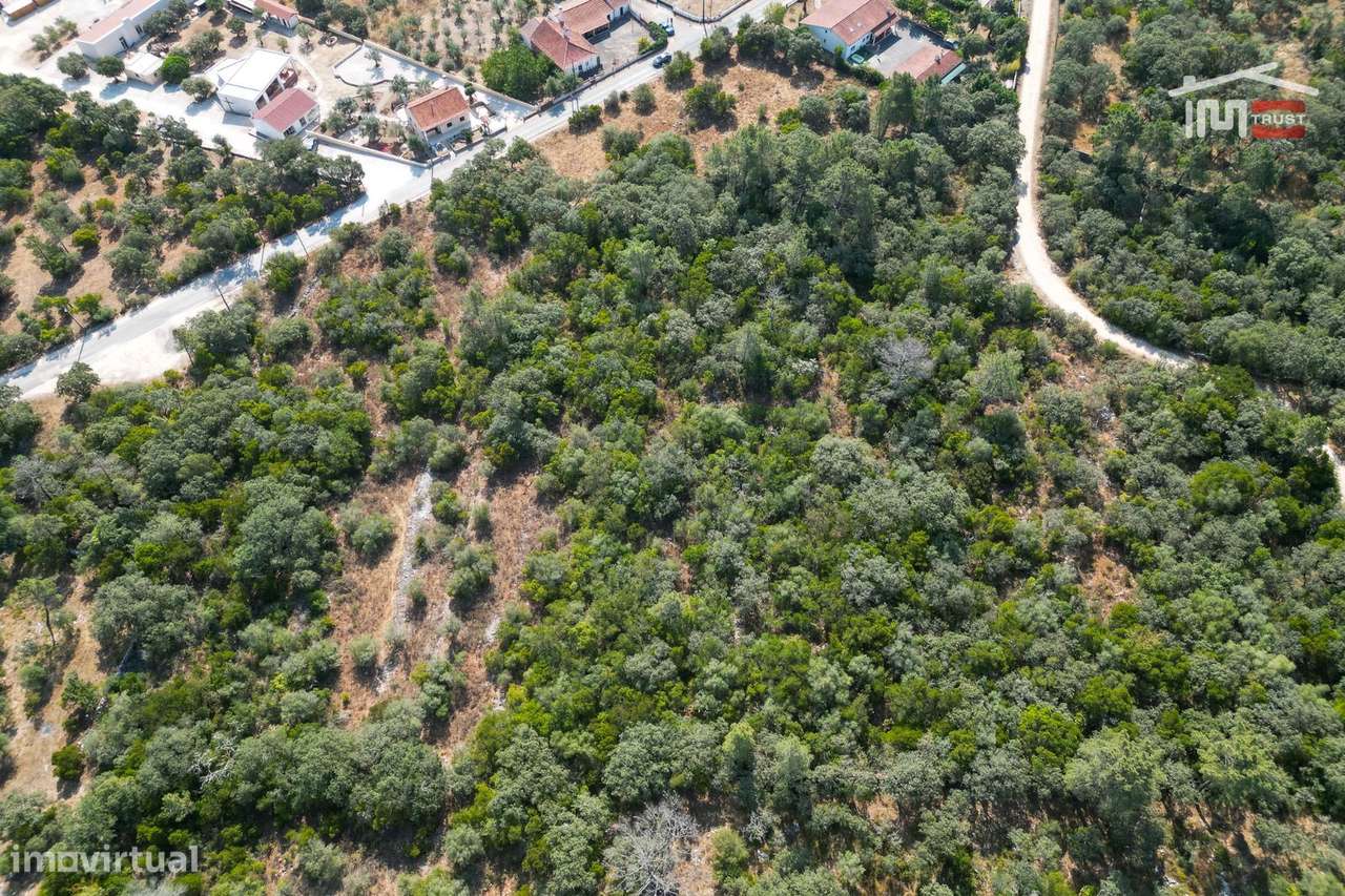 Terreno Rústico em Montelo, Fátima - Grande imagem: 5/9