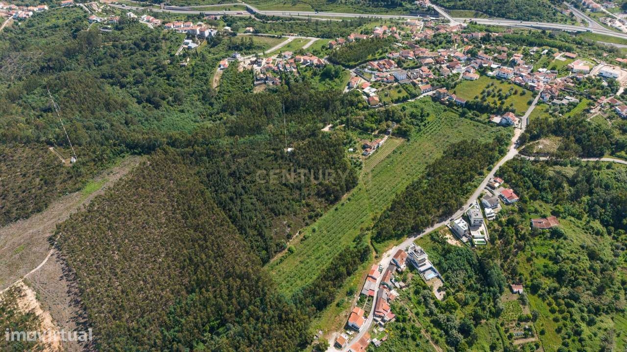 Quinta com 8 hectares com potencial para construção – Antanhol - Coimb-16