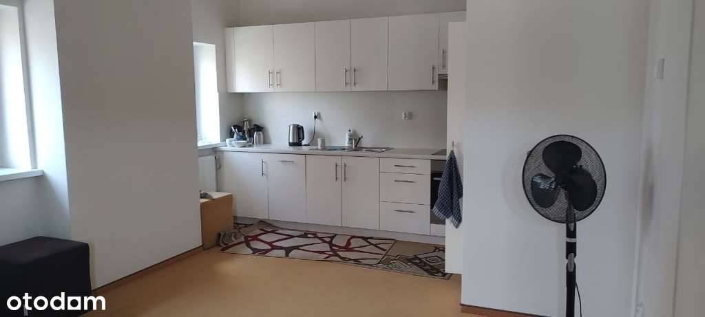 do wynajęcia lokal biurowy 466m2 Fordon - Pełny obrazek: 4/8