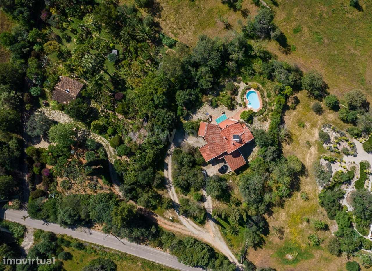 Oportunidade Única em Loulé – Terreno de 9.200m2 com Duas Habitações e - Grande imagem: 2/60