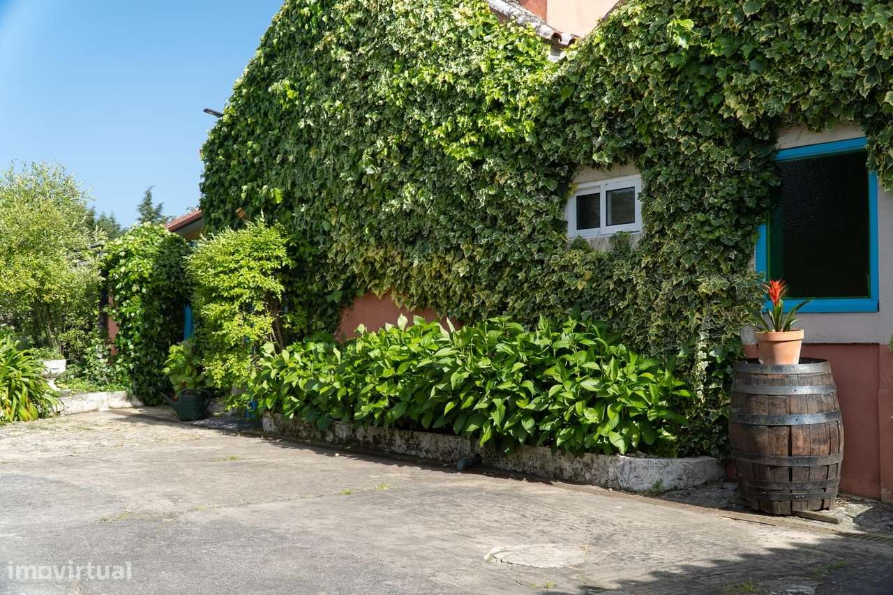 Quinta 7.1 ha, Miranda do Corvo - Grande imagem: 5/60