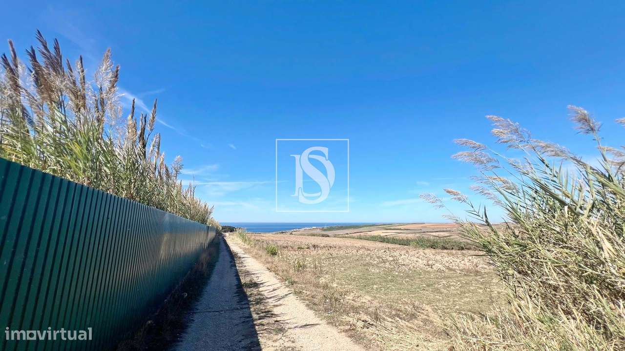 Antiga Danceteria, com uma área total de 4.400 m² - Lourinhã - Grande imagem: 4/14