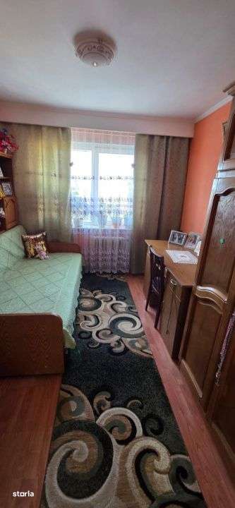 3 camere Banat-14
