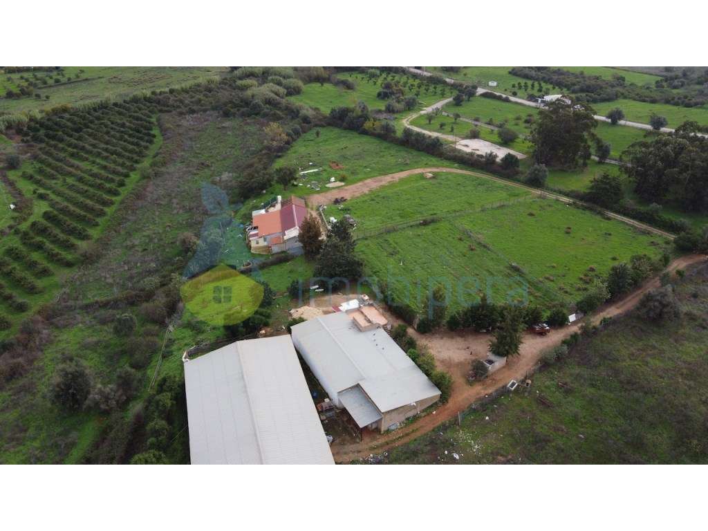 Terreno urbano e terreno rústico em Odiáxere para novo projeto. - Grande imagem: 1/36