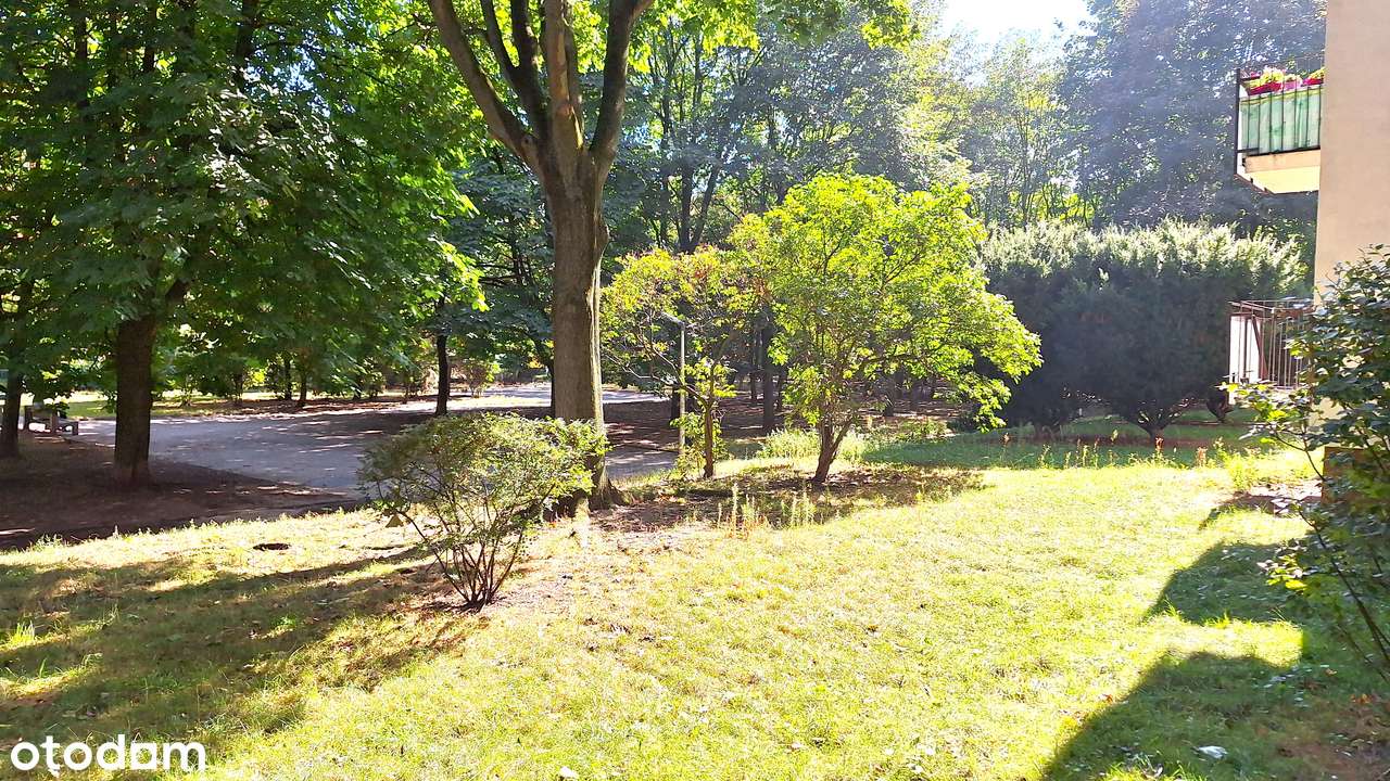 1/2 pokoje, duża kuchnia, balkon, piwnica, ciche, z zielonym widokiem-10